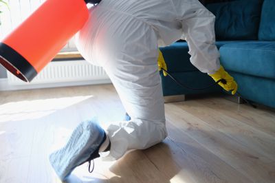 Certified Odor Removal Experts